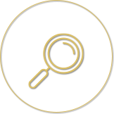dex cam icon